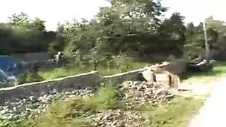 بنت شقر تعذب