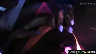 تربية حظيرة: فرس تحصل على سائل الفحل