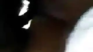 خشب الأبنوس الجنس الشرجي قبو قبل نائب الرئيس