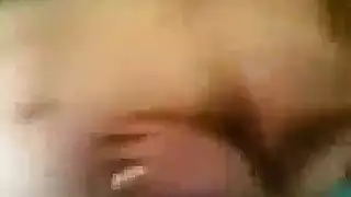 الهايجة المصرية