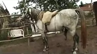 نيك جماعي ريفي: تخصيب فتاة مستعدة في الإسطبل