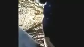 شهوة محرمة: رجل سعودي ينيك فم محجبة مصرية