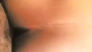 جماع صحراوي مصري: مهرج بري رملي