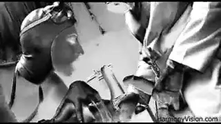 جماع محرم مع الحصان: الفحل البري يأخذ المرأة إلى قبرها