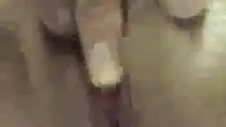 ضعف المتعة: فرجان مغطيان بالسائل المنوي