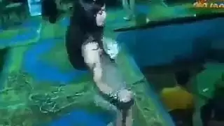 فتيات جامحات: رقص شهواني وكلام جنسي فاحش