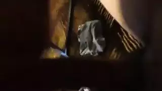 أكشن سكس مكثف: إيلاج عميق بقضيب ضخم منتصب