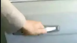 بورن في الغابة والماء والبرية