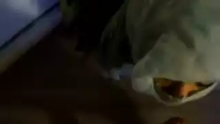 مص مجهول: عاهرة منقبة تعشق المص وتتلقي السائل الساخن