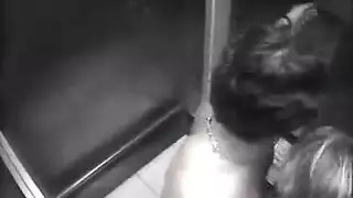 بورن في مكان عام: سكس في المصعد وأحداث ثدي ساخنة