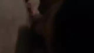 سكس مصري: مص للزبر وأخذه بقوة