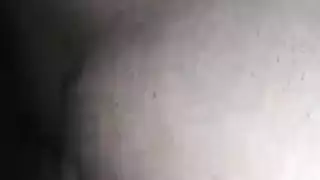 انسكب سخيف شولي