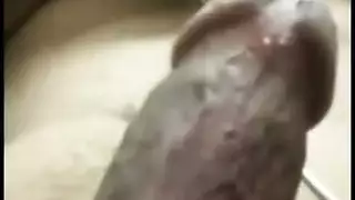 خمر الإيطالي الإنجليزية الطاولة