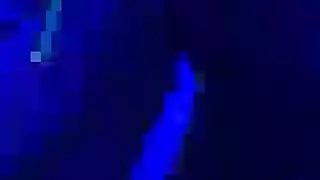خيال نهال عنبر بالاختراق المزدوج في الصور