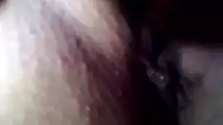 مقارع محاكاة ساخرة مفلس الآسيوية