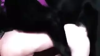 ٩ مراهقة مثيرة في حركة إباحية مكثفة وواضحة