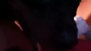 سكس حيوانات صادم: كلب ينيك شقراء ساخنة