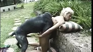 جنس كلب وحشي: قضيب الوحش يمزق مهبل البنات