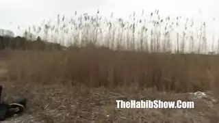 أنات وتأوهات في إباحية عربية