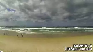 حمير وامرأة