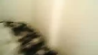 عراقيه تصور فديو حبيها