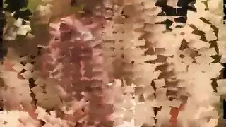 ممثلة إباحية تطلب إنهاءً فوضويّاً على وجهها