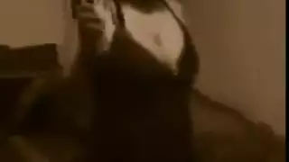 تعري بطئ في النيجينة يتحول إلى جلسة كلابية شديدة