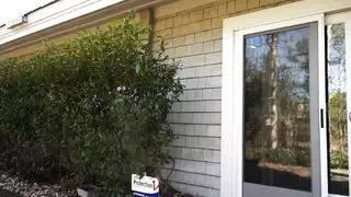 من الطبخ إلى وضع الكلب: فتاة ذات مؤخرة كبيرة تُمارس معها الجنس بقوة