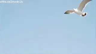 سكس كوري مراهق ينيك خالته في سيارة