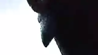 العاهرة الممتلئة بالجوارب الشبكية تتعرى تمامًا، وتتوسل أن تُضاجع حتى تبلغ النشوة