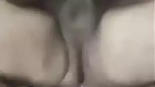 محجبات فى العربيه