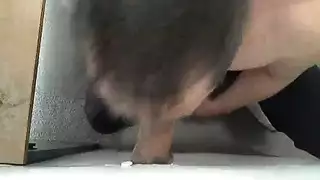 تدمير مدخلي الخلفي بواسطة بي بي سي