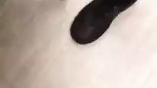 مطبخ واقع حزب الكلية