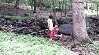 نبك الغابات الحوامل الجملات
