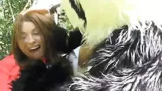 الغريزة الحيوانية الخام: لقاء بهيمي مكثف