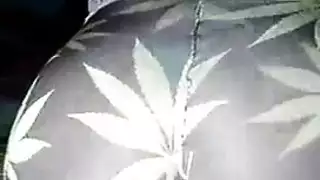 انمي افلام نارتو وران