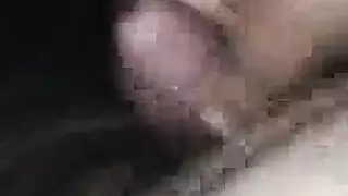 بلجيكي سد الكلبة