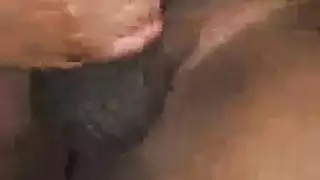 فحول رعاة البقر يتناوبون