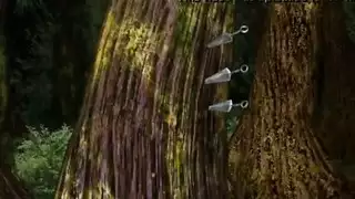 مقاطع جنس جماعي مصرية قديمة: أشرطة سكس جماعي من الزمن القديم