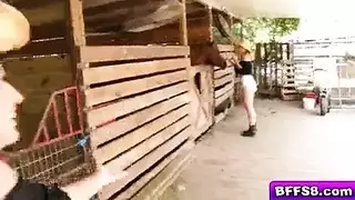 مص خجول مزرعة