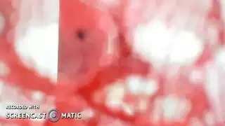 هدية عيد الميلاد هي قذف داخلي من وسيم جذاب